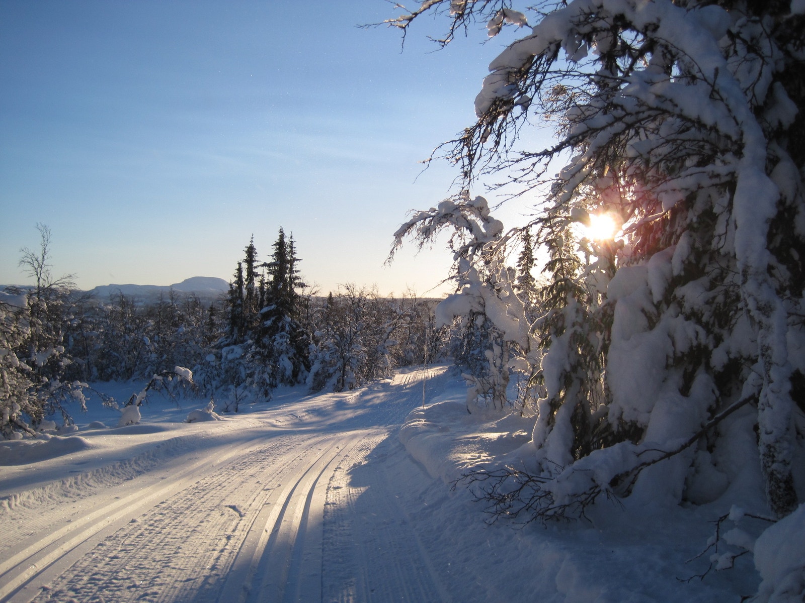 Flotte skiløyper Galleribilde