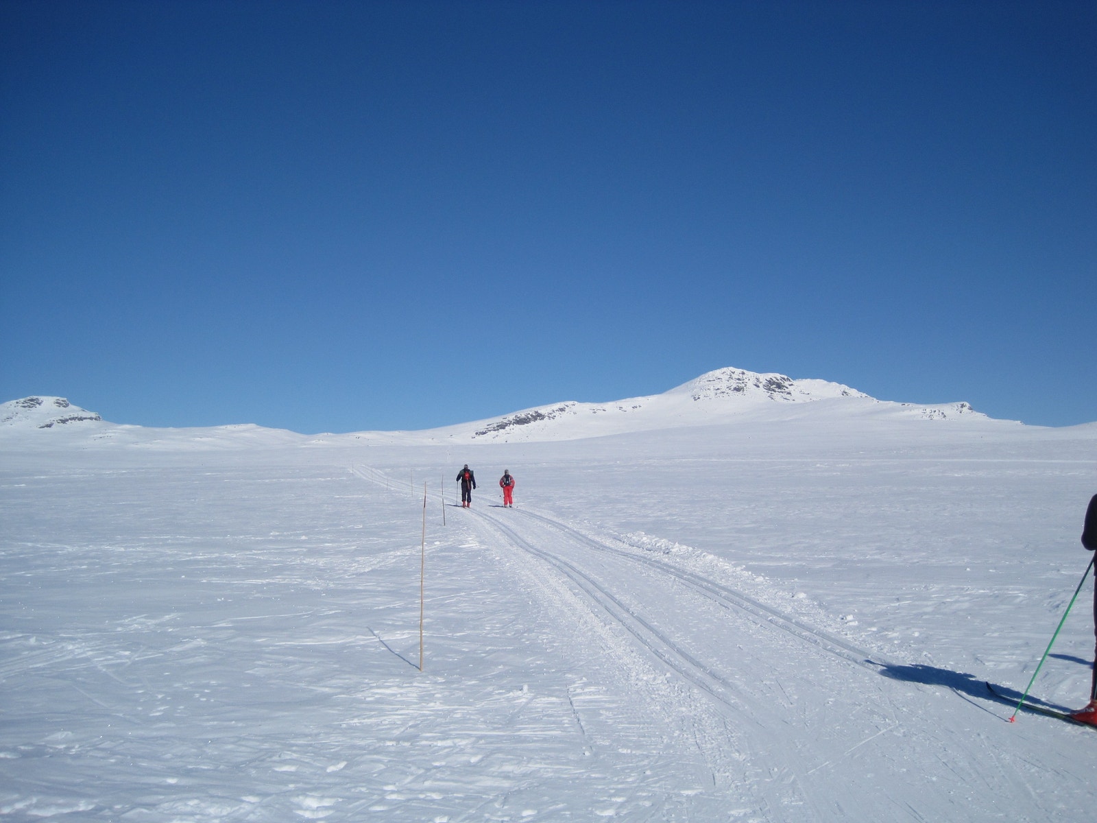 Skitur mot Skaget Galleribilde