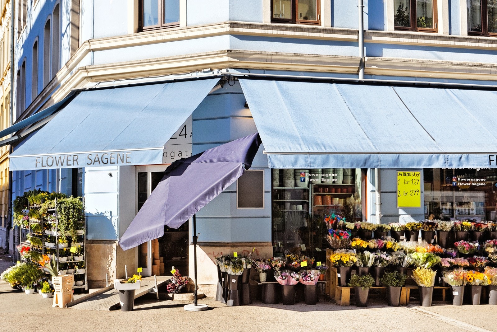 Områdebilde Galleribilde