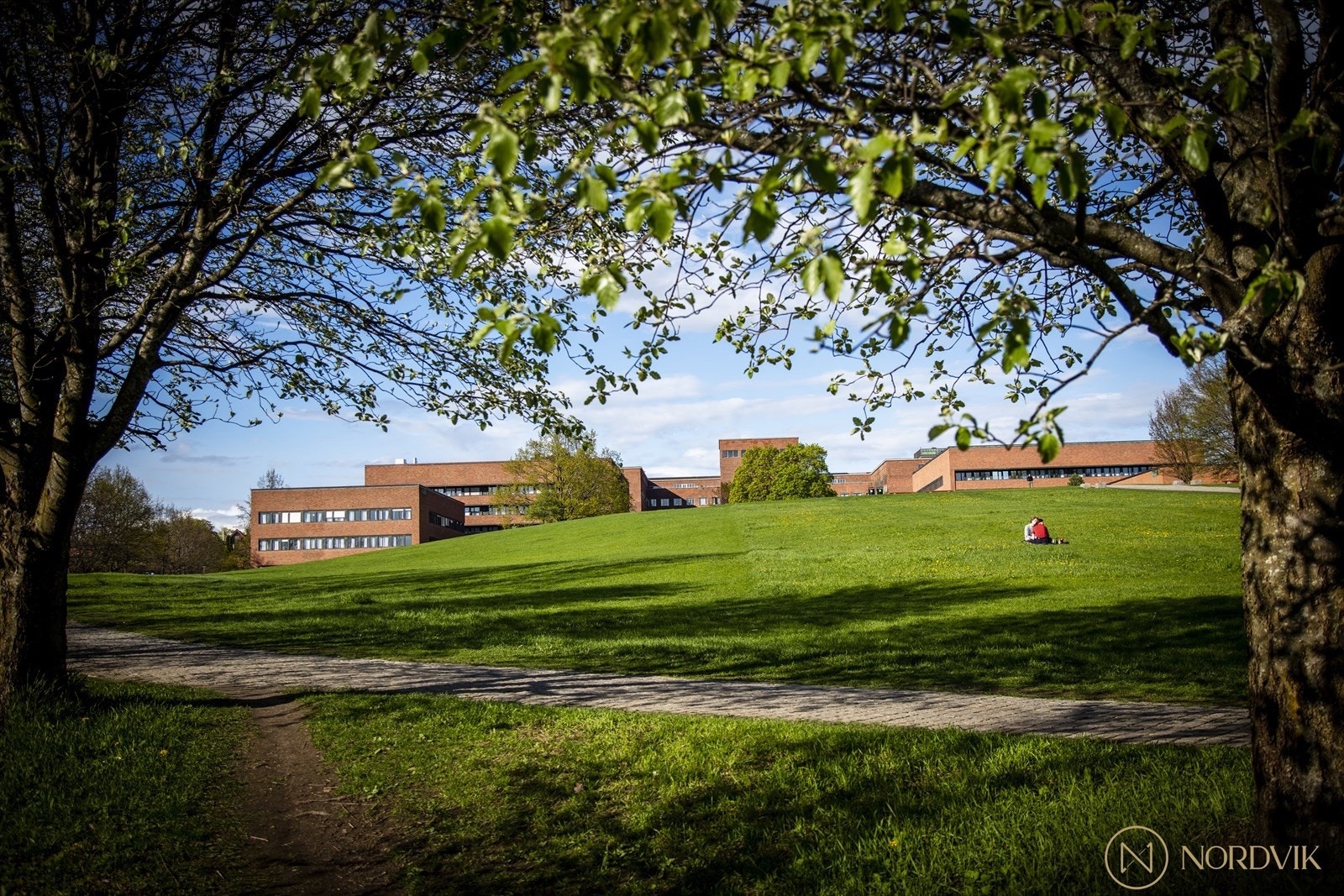 Nærområdet Galleribilde