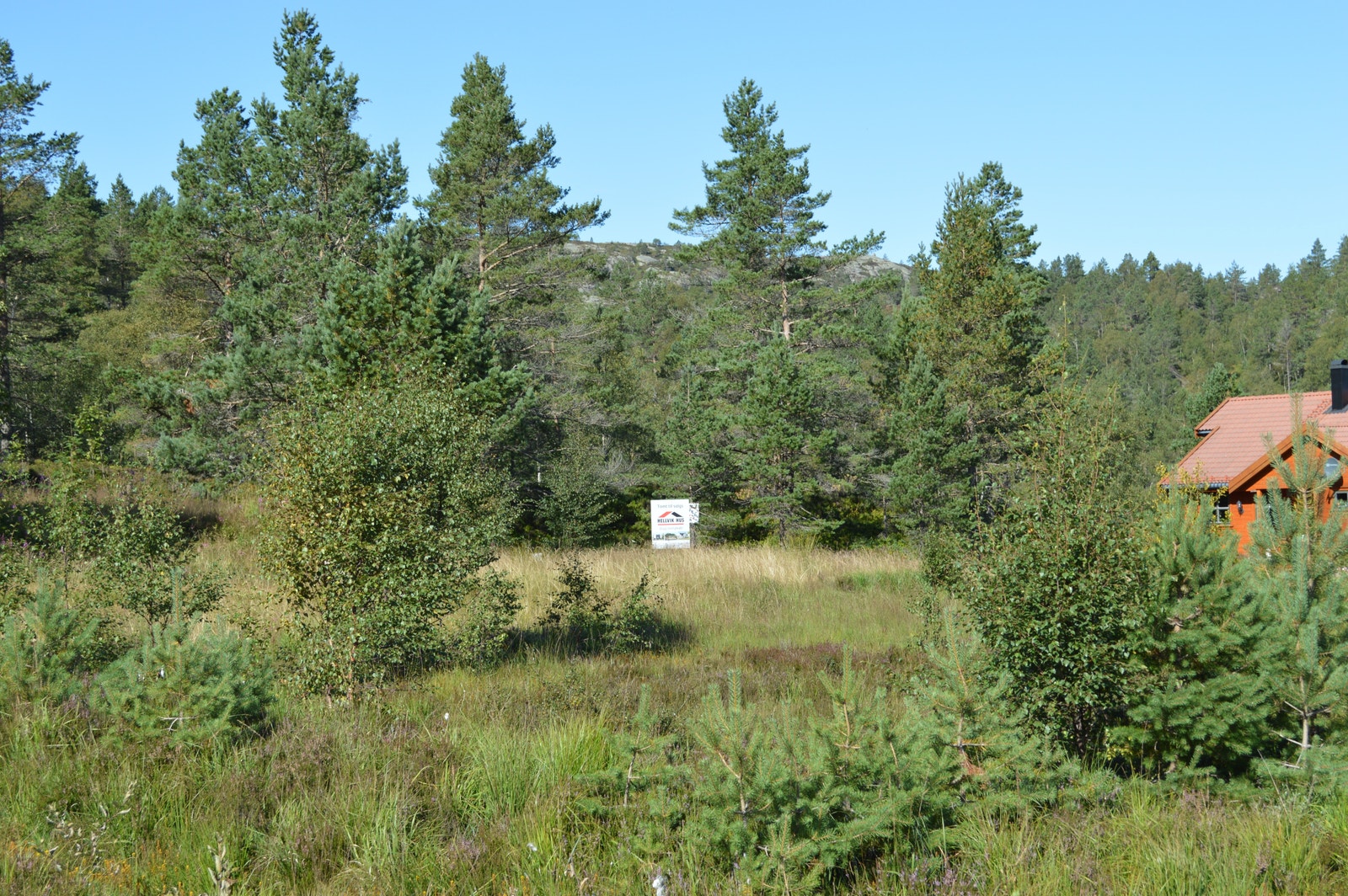 Tomta sett forfra Galleribilde