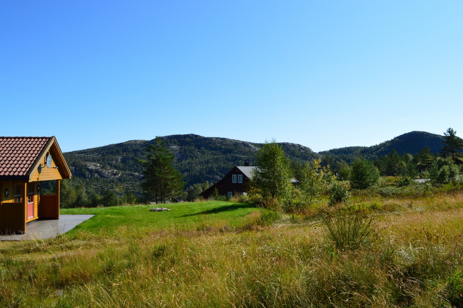 Utsikt fra tomta Galleribilde