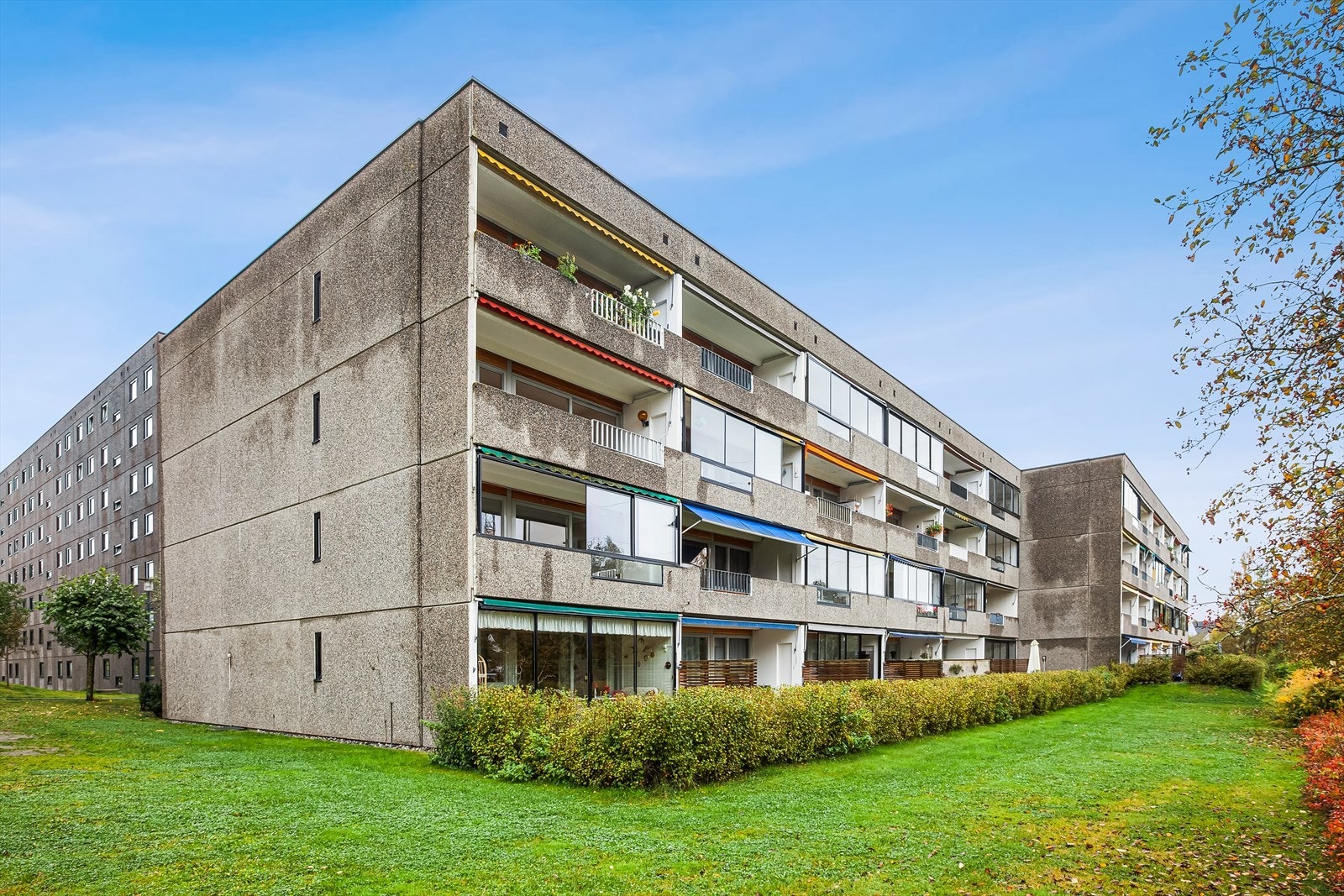 - Meklenborg borettslag - Galleribilde