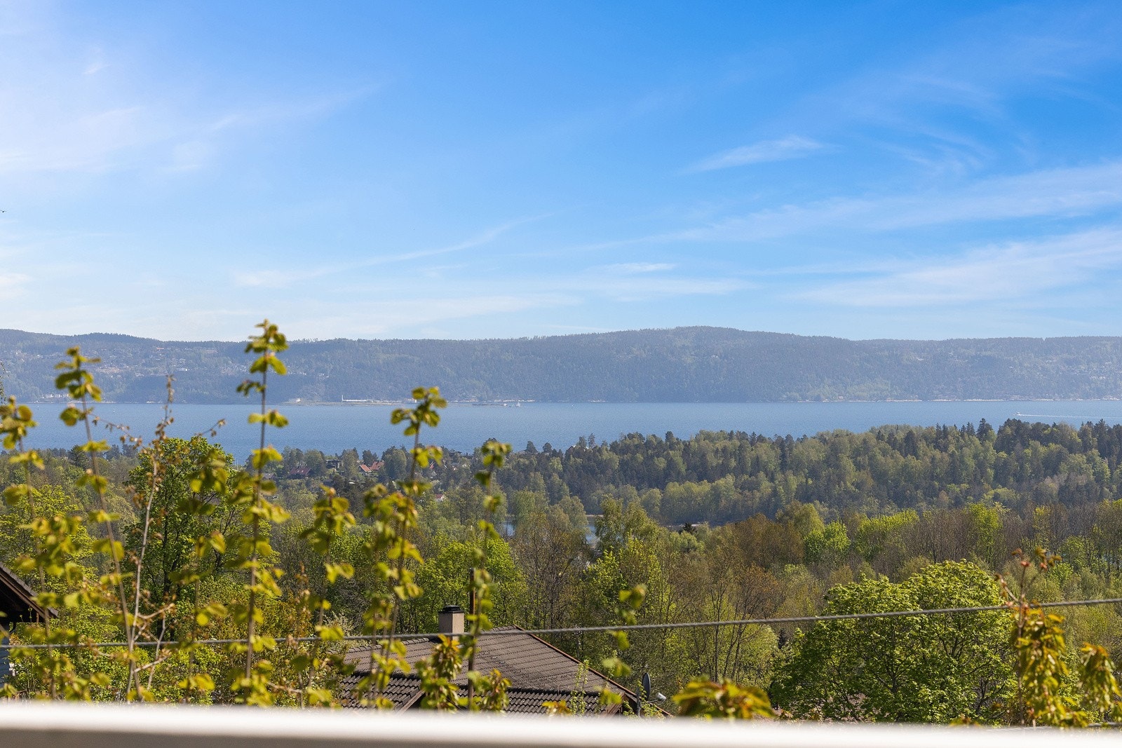 0S2A1798 Galleribilde