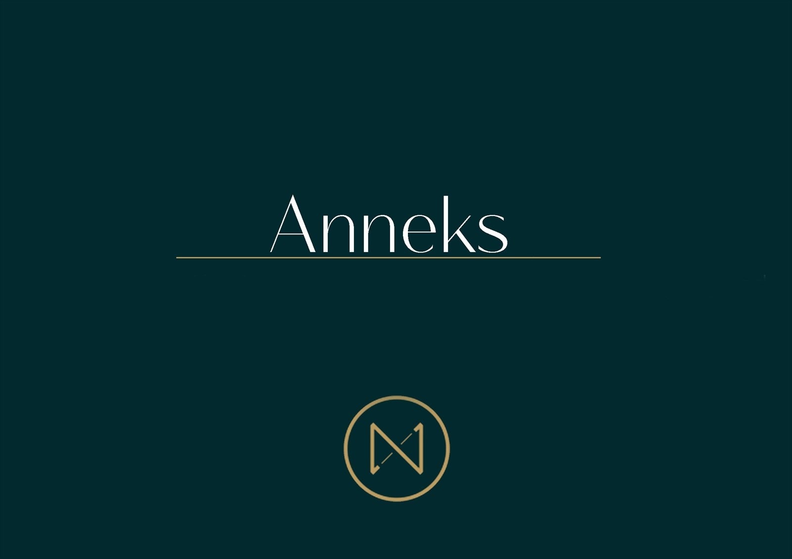 - Anneks/garasje blir i dag benyttet til trimrom/verksted/lager - Galleribilde