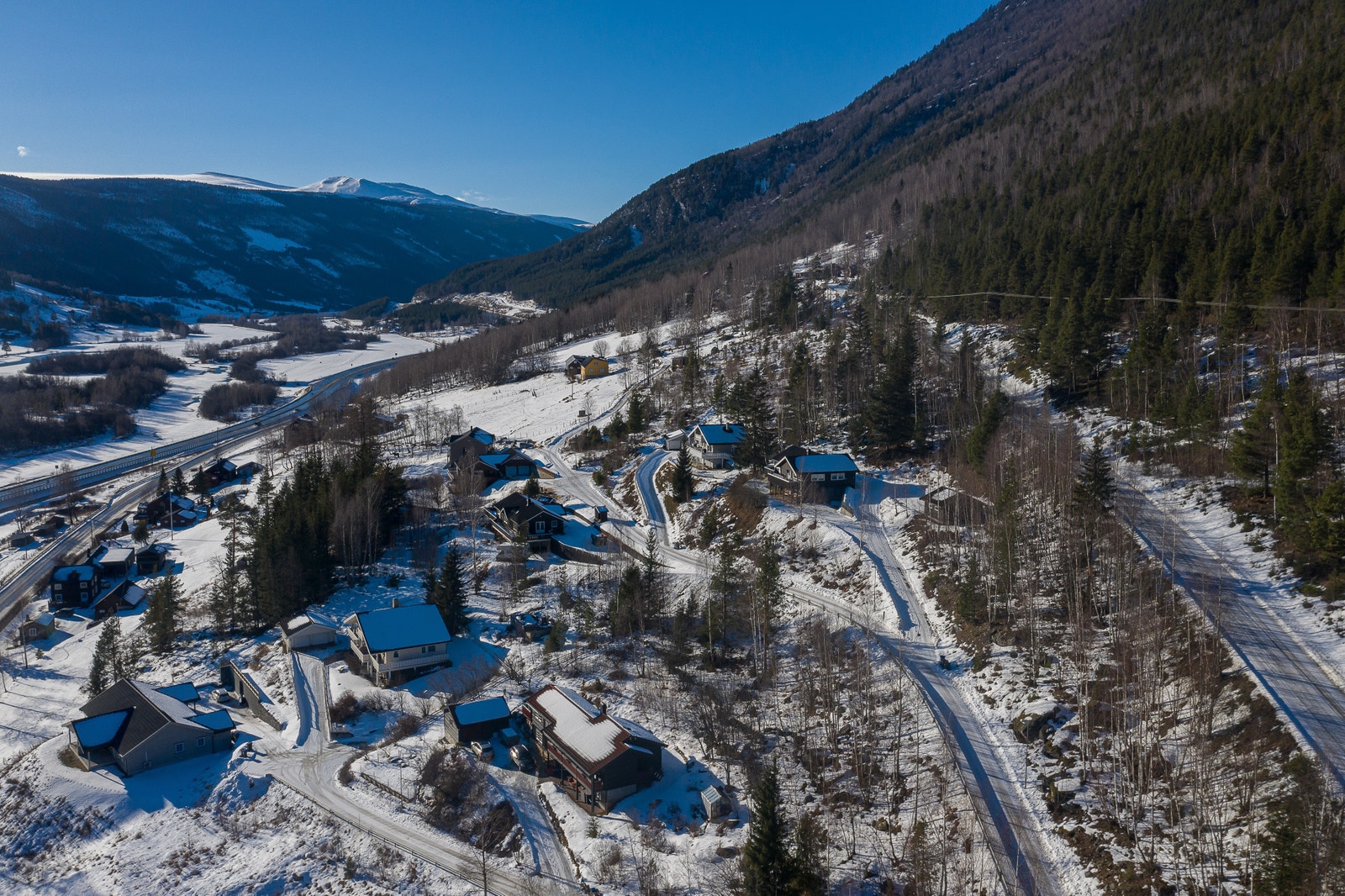 Steinråket Galleribilde