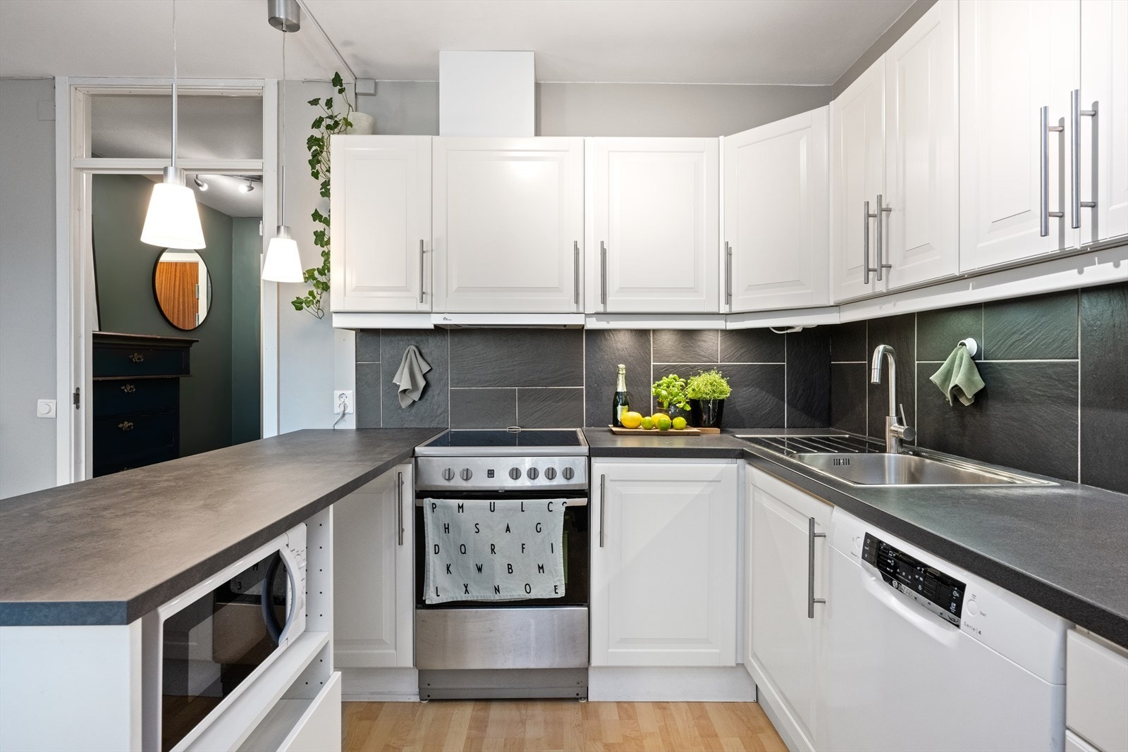 Videre er er det ventilator, komfyr med stekeplate og oppvaskmaskin. Galleribilde