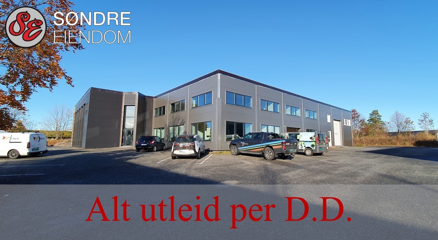 Alt Utleid Galleribilde