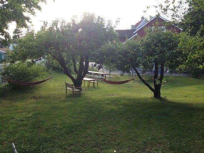Stor hage Galleribilde
