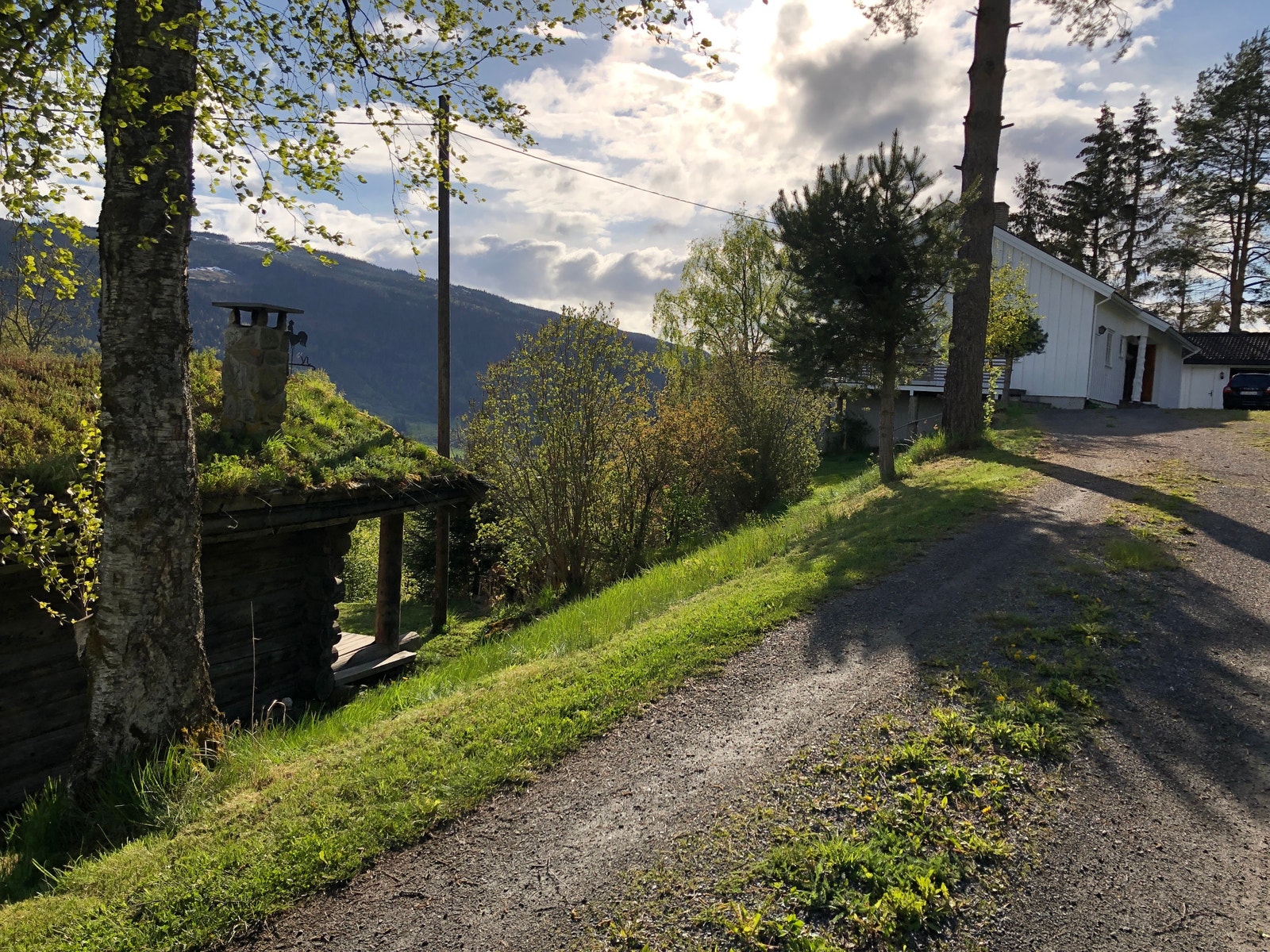 Usjenert Galleribilde