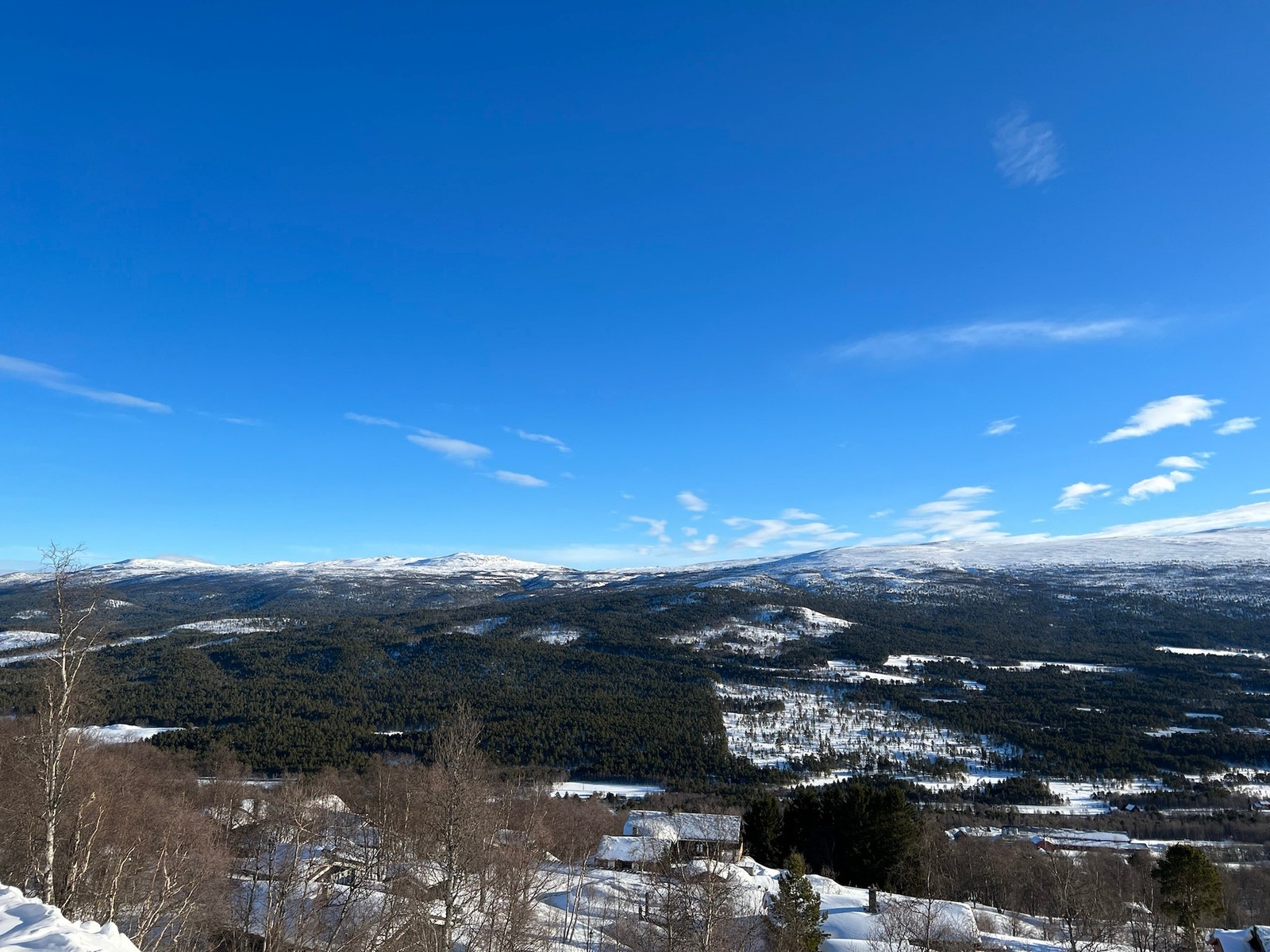 Utsikt mot nordøst Galleribilde