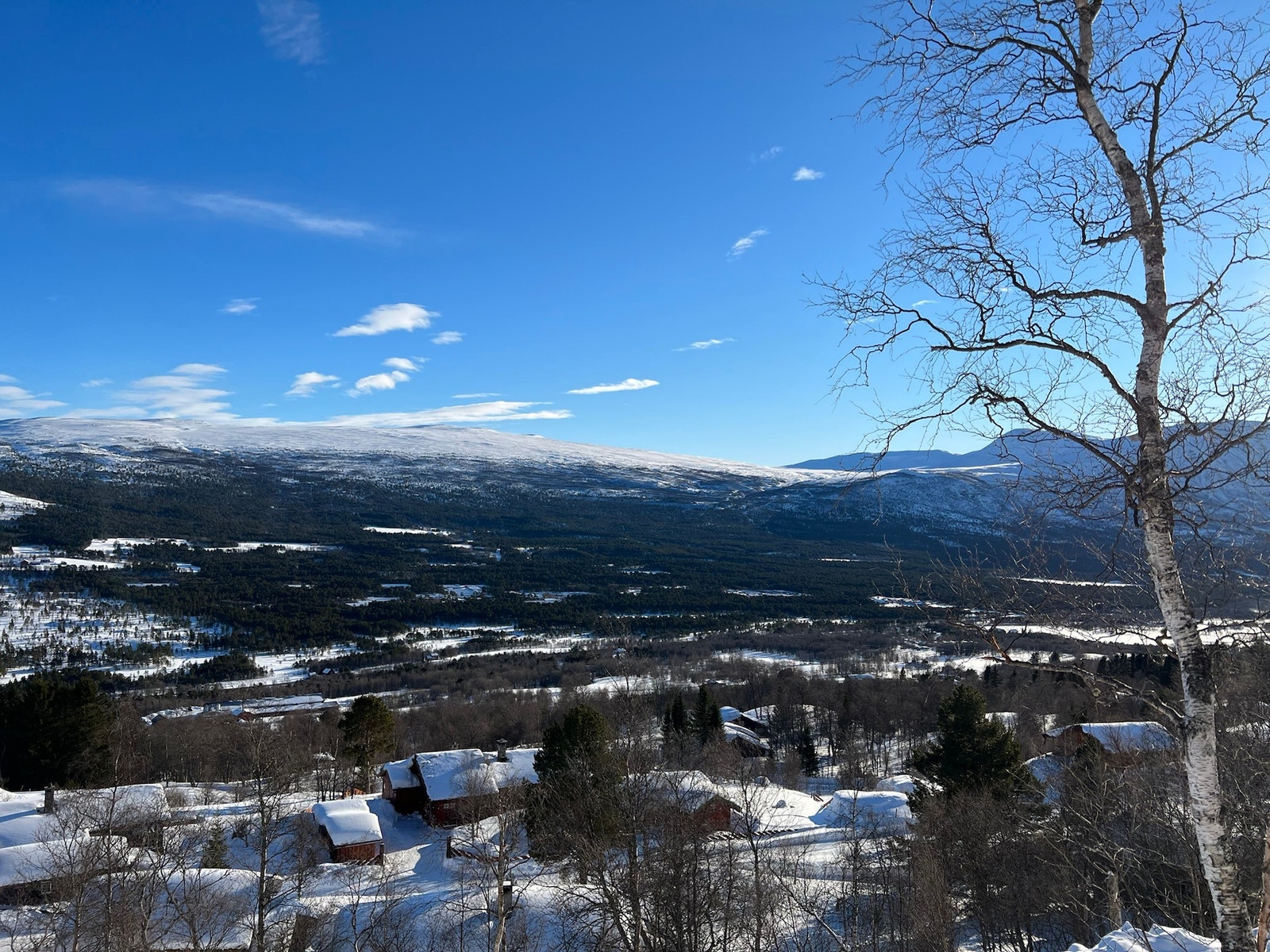 Utsikt mot sørøst Galleribilde