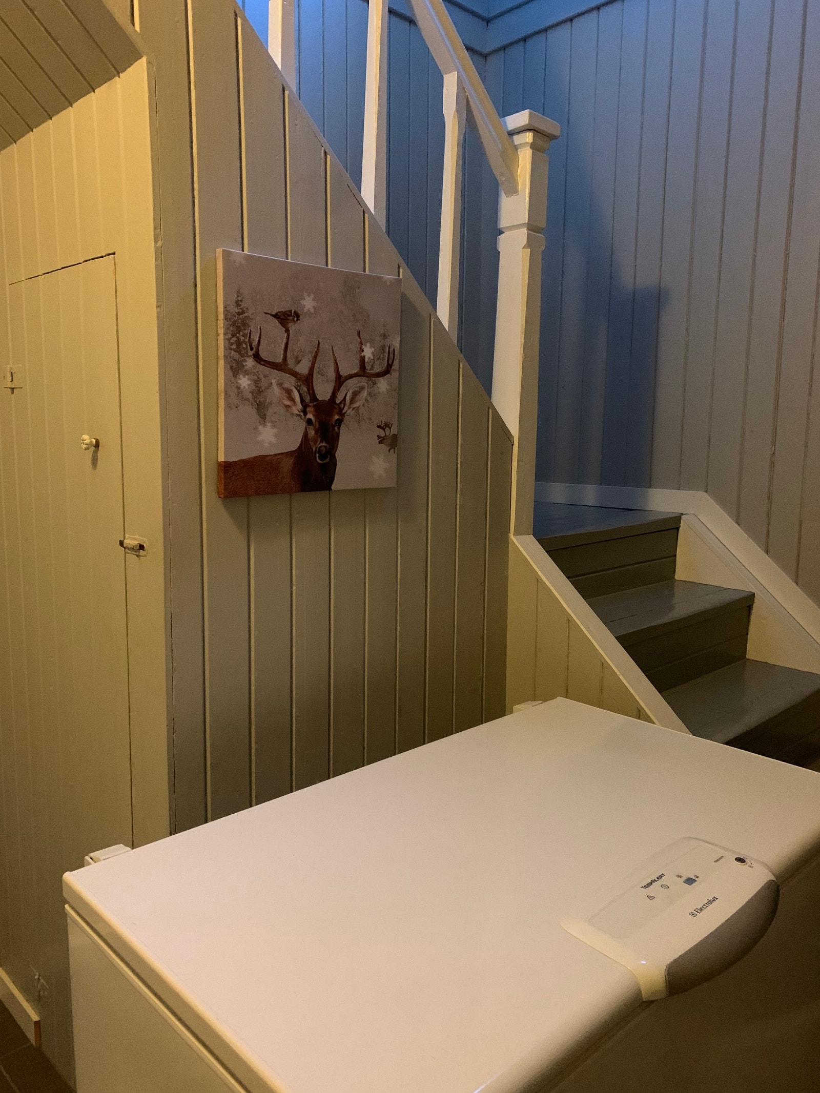 Gang 2 - fryser kan benyttes Galleribilde