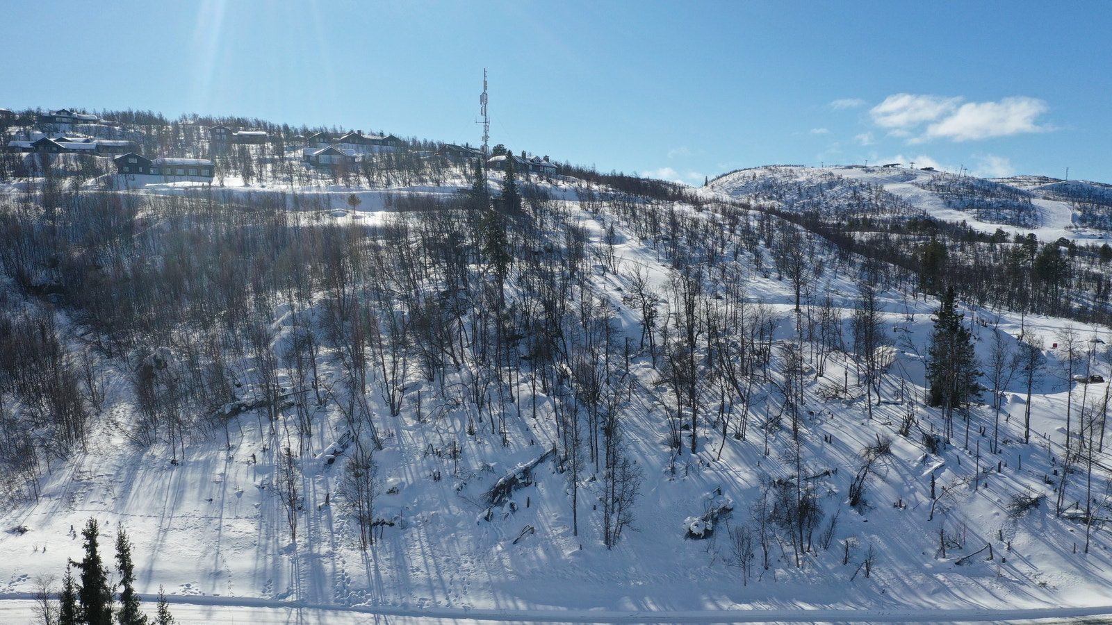 Bilde mot tomten Galleribilde