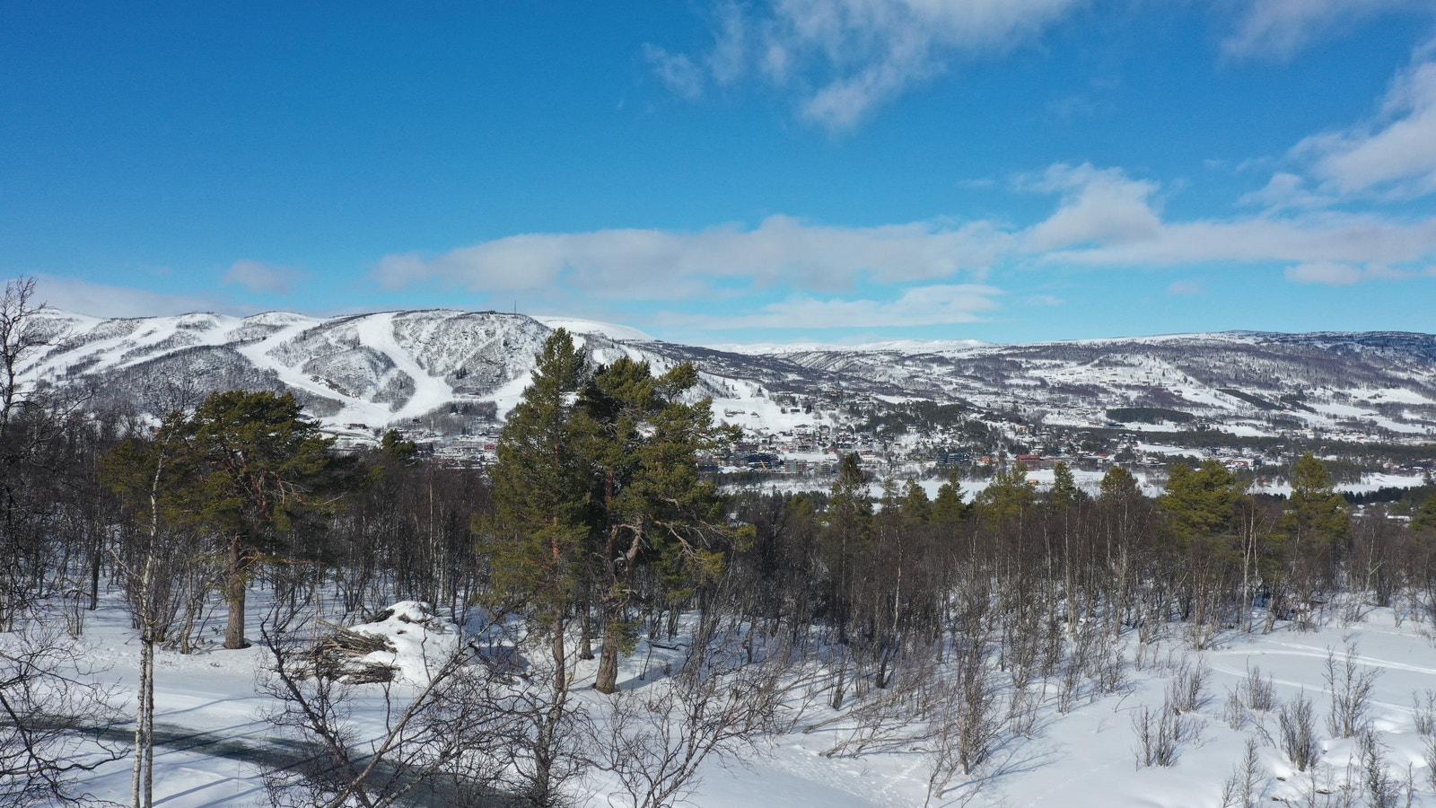 Utsikt fra tomten Galleribilde