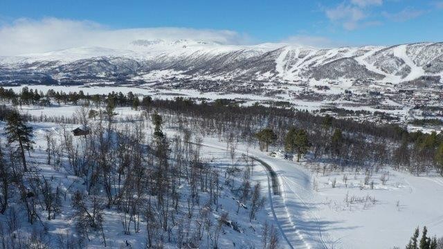 Oversiktsbilde over tomten Galleribilde