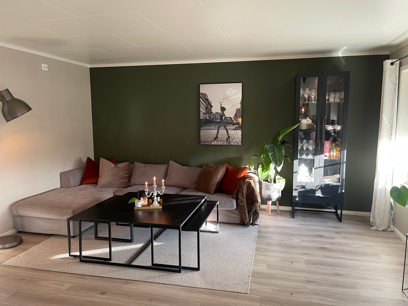 Illustrasjonsfoto Galleribilde