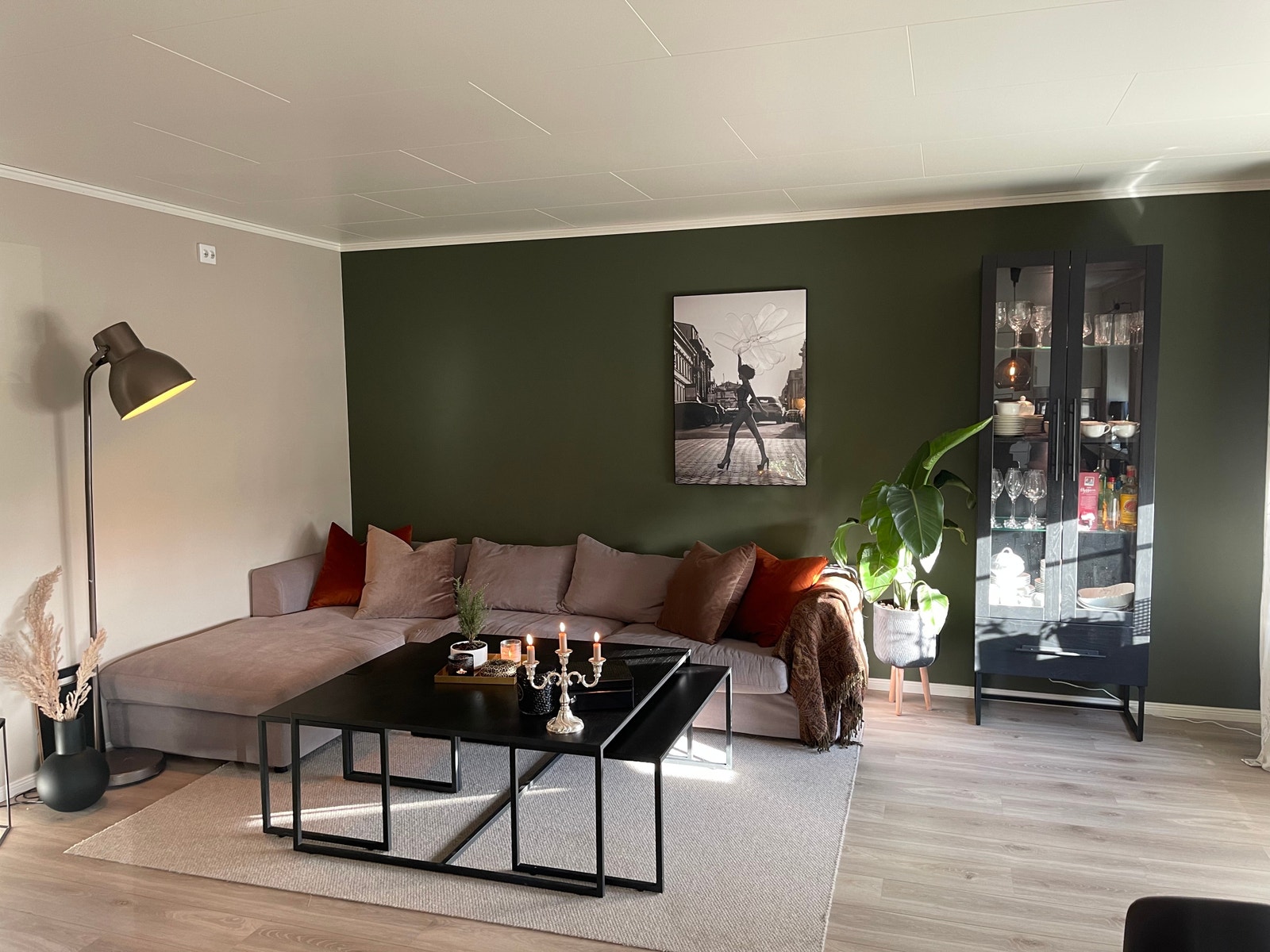 Illustrasjonsfoto Galleribilde