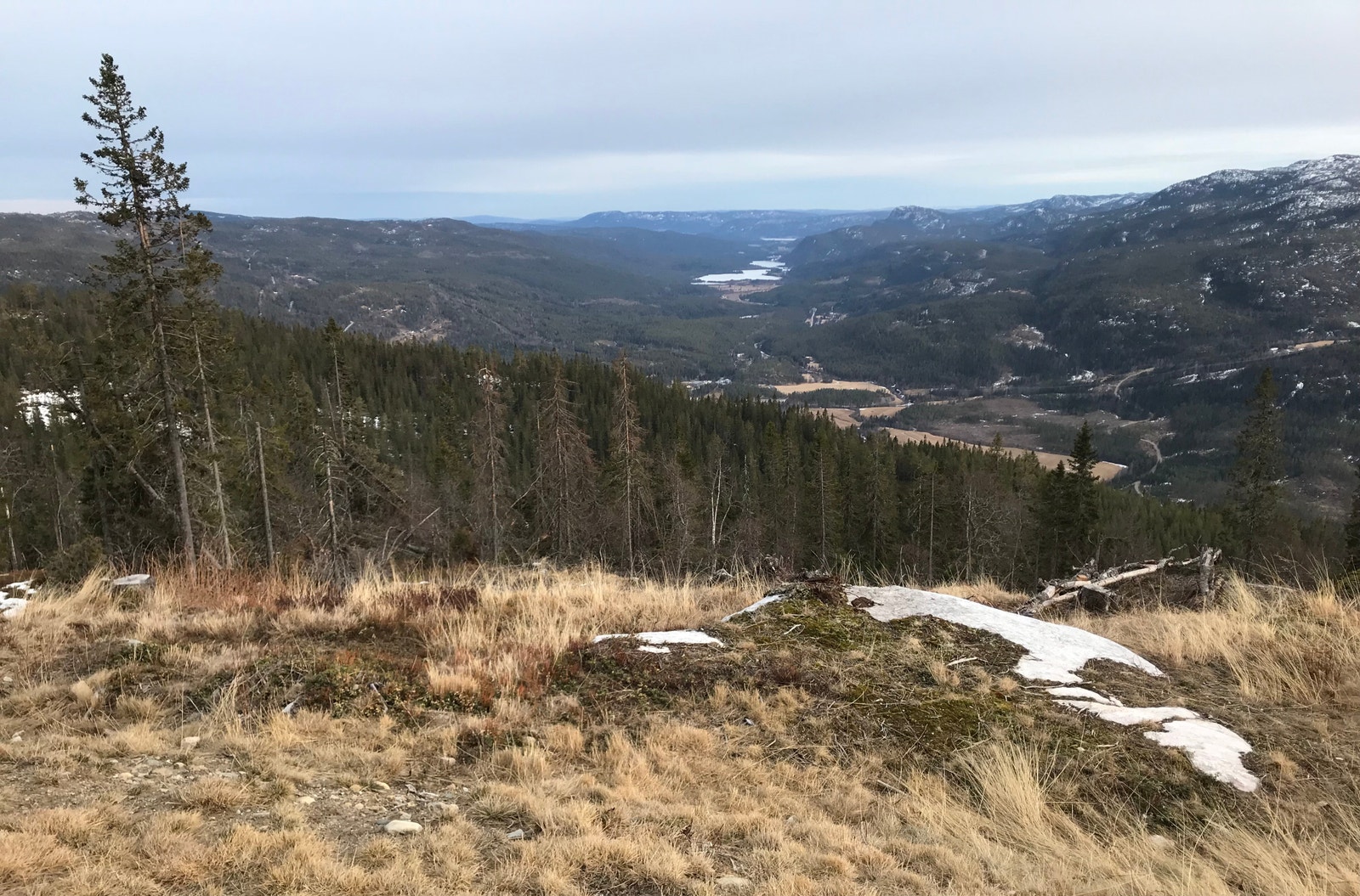 Bildet er tatt fra tomt i samme hyttefelt etter hogst på tilsvarende høydemeter for å vise potensialet for utsikt Galleribilde