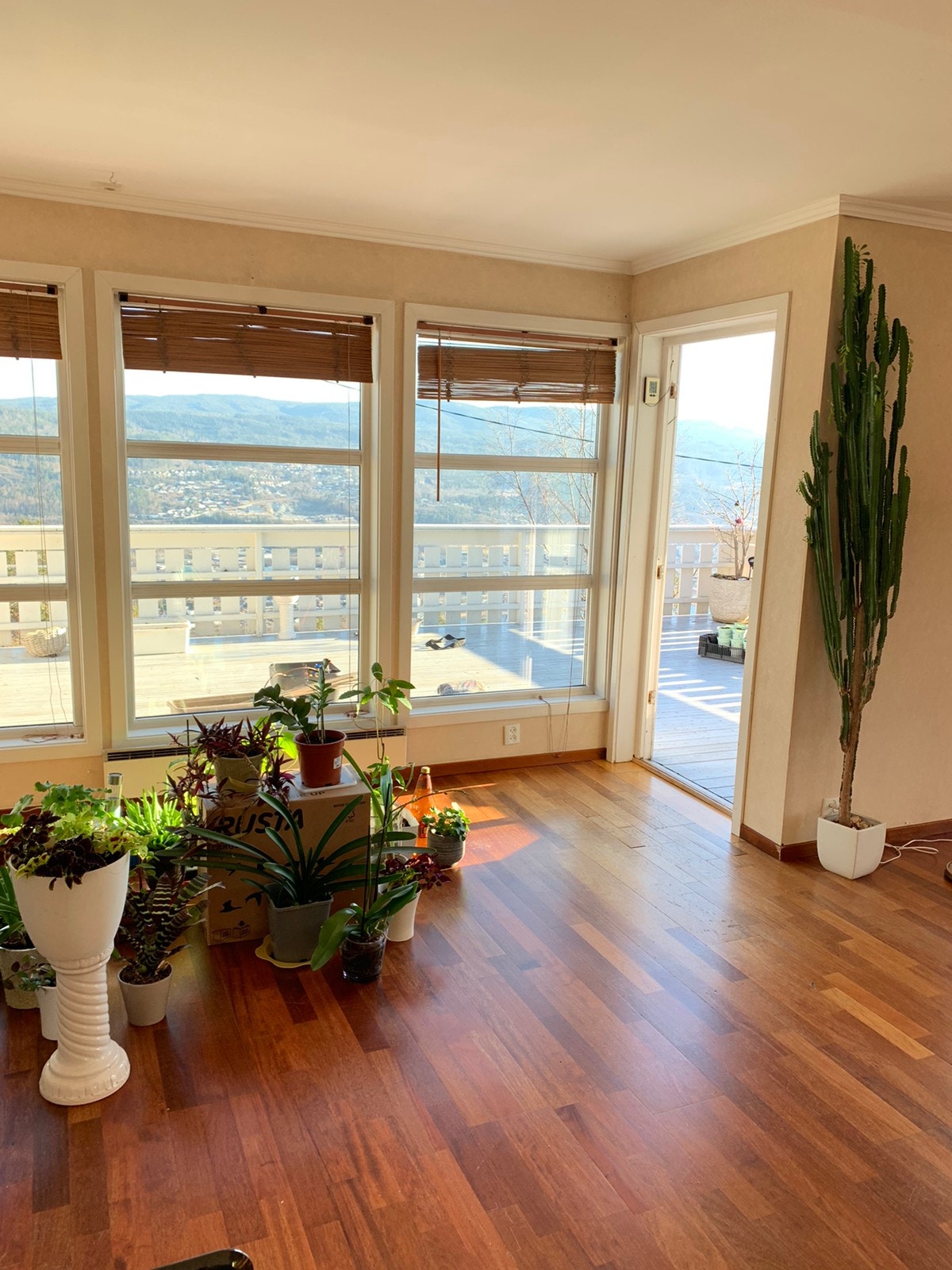 Utgang til stor veranda Galleribilde