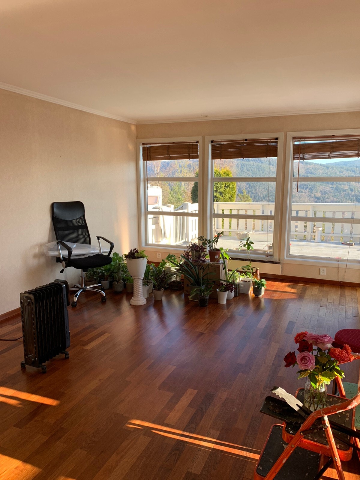 Stua - litt rot siden noen flytter ut Galleribilde