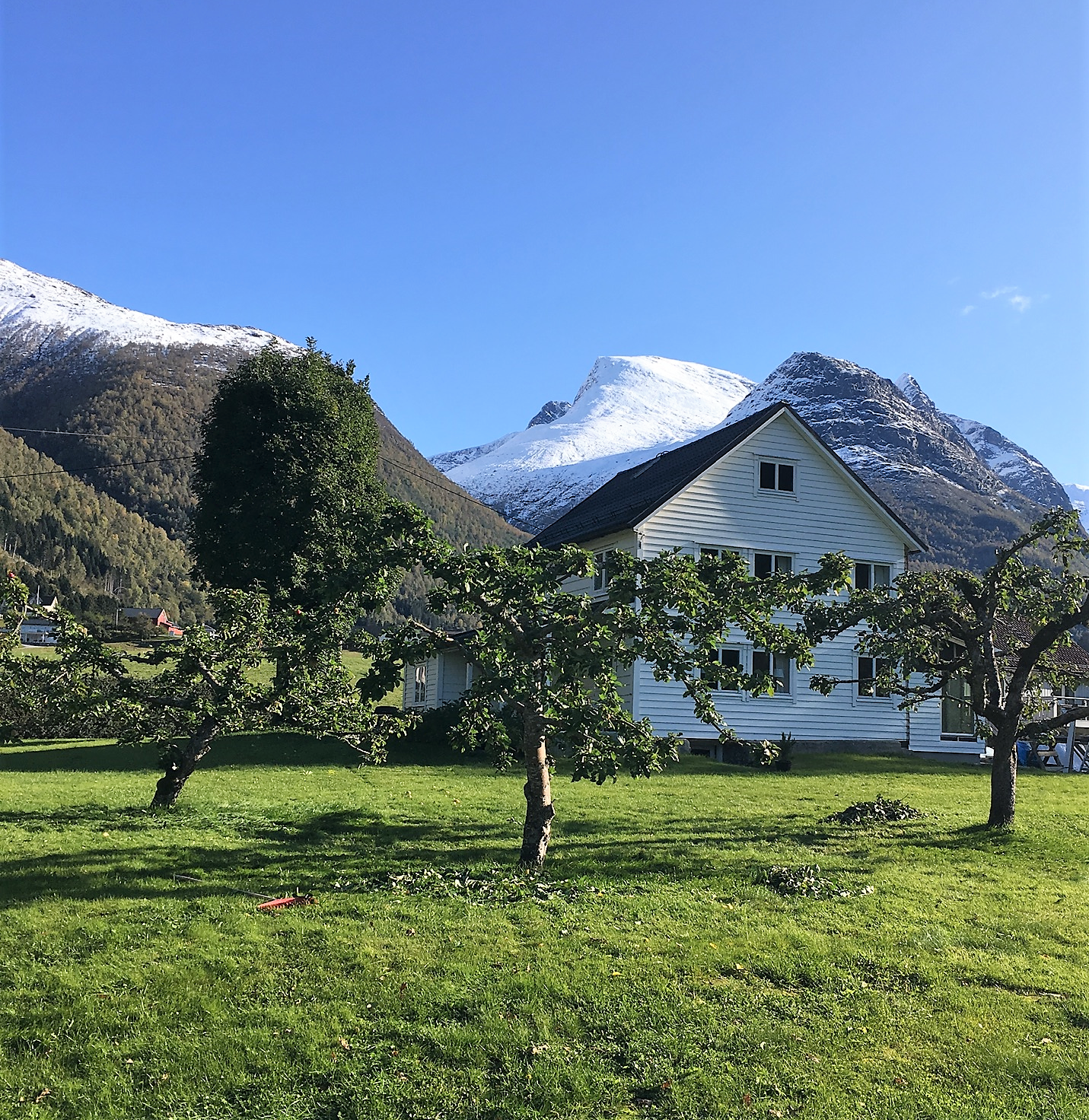 Eiendommen med hovedhus og låve er på ca. 3 mål med frukttrær og kjøkkenhage Galleribilde