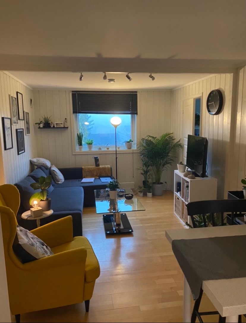 Stue del av Stue/kjøkken Galleribilde
