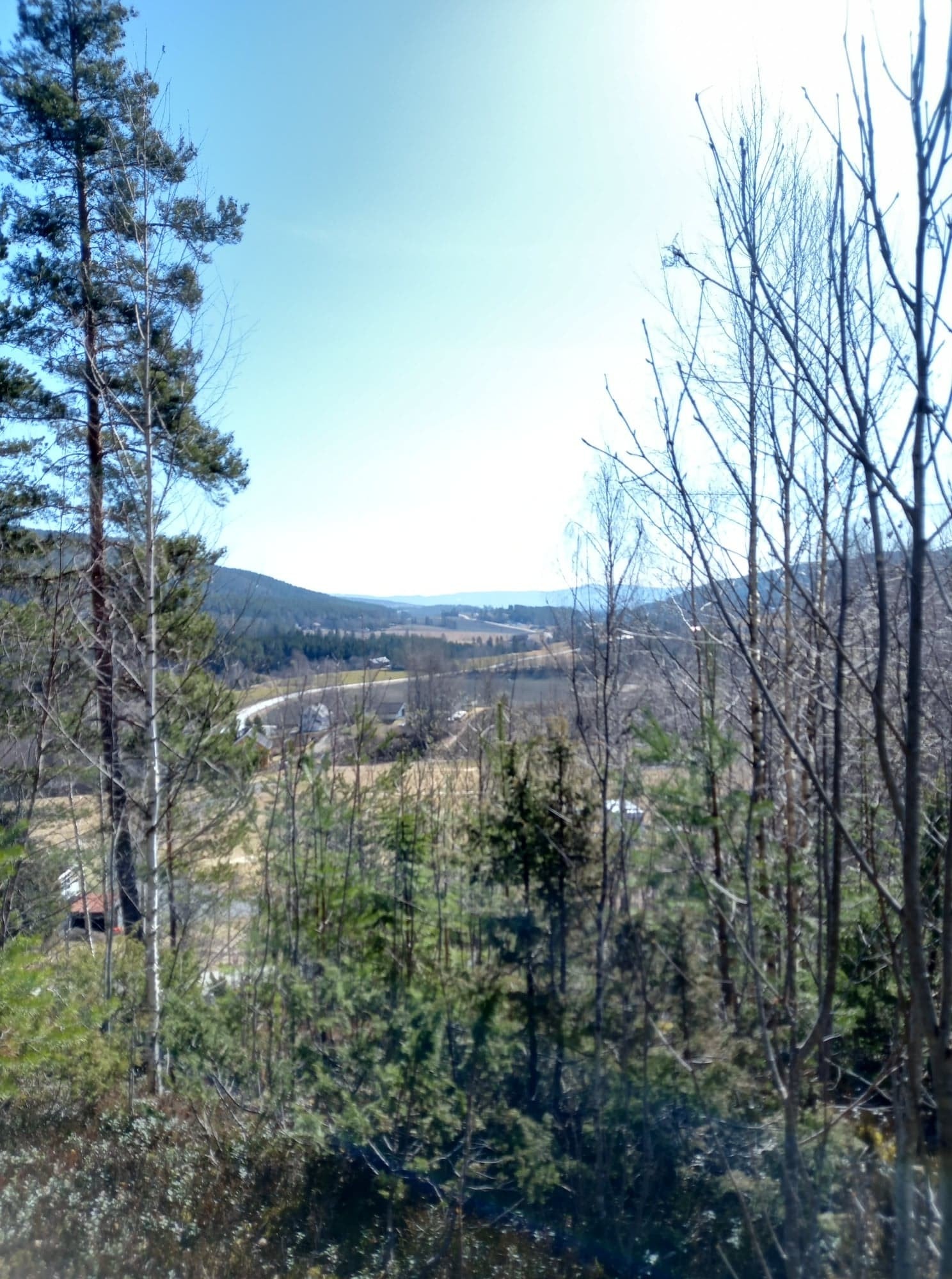 Ser mot syd,Hønefoss. Galleribilde