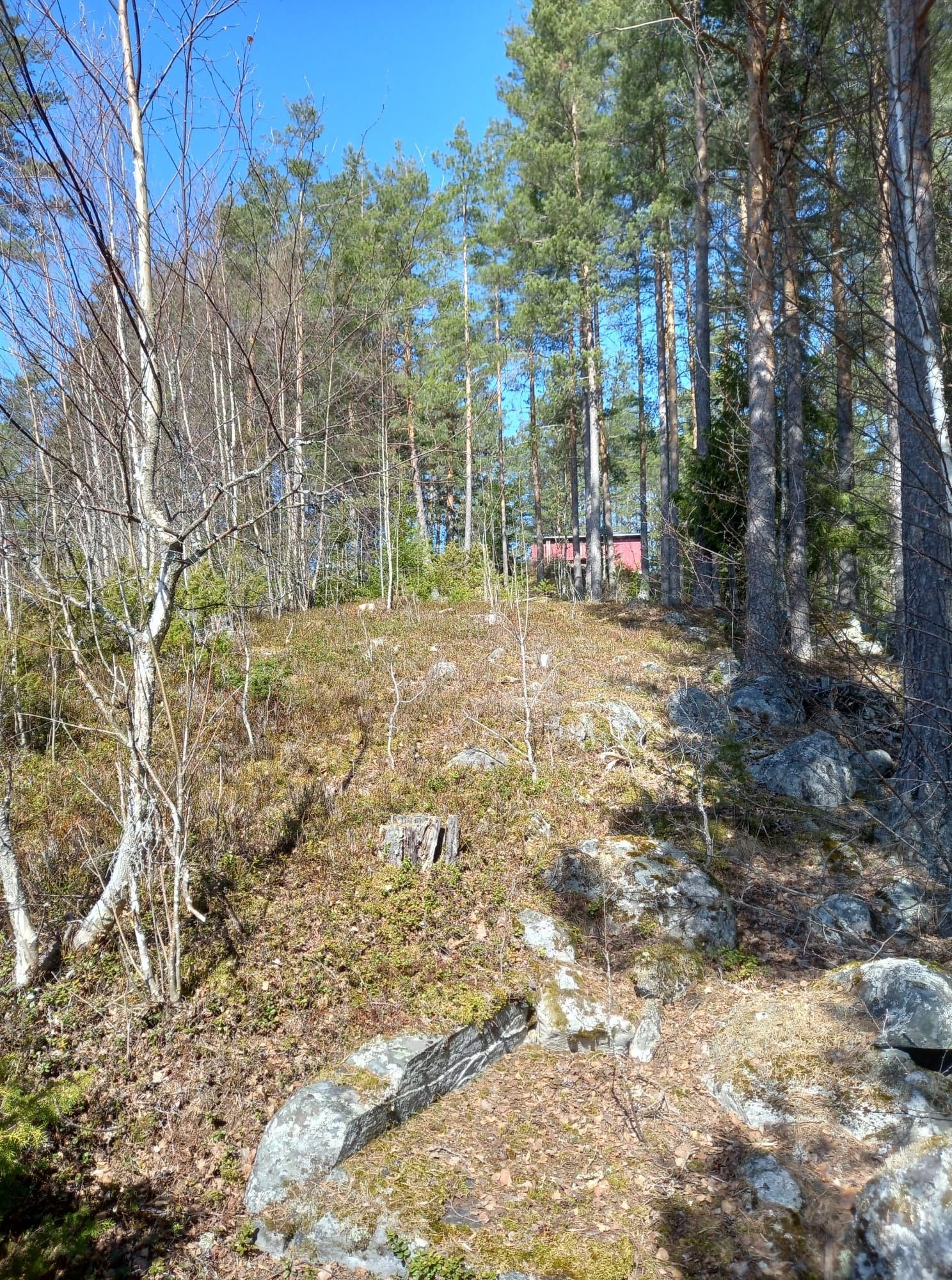 Ser mot nord,mot Piperåsen. Galleribilde