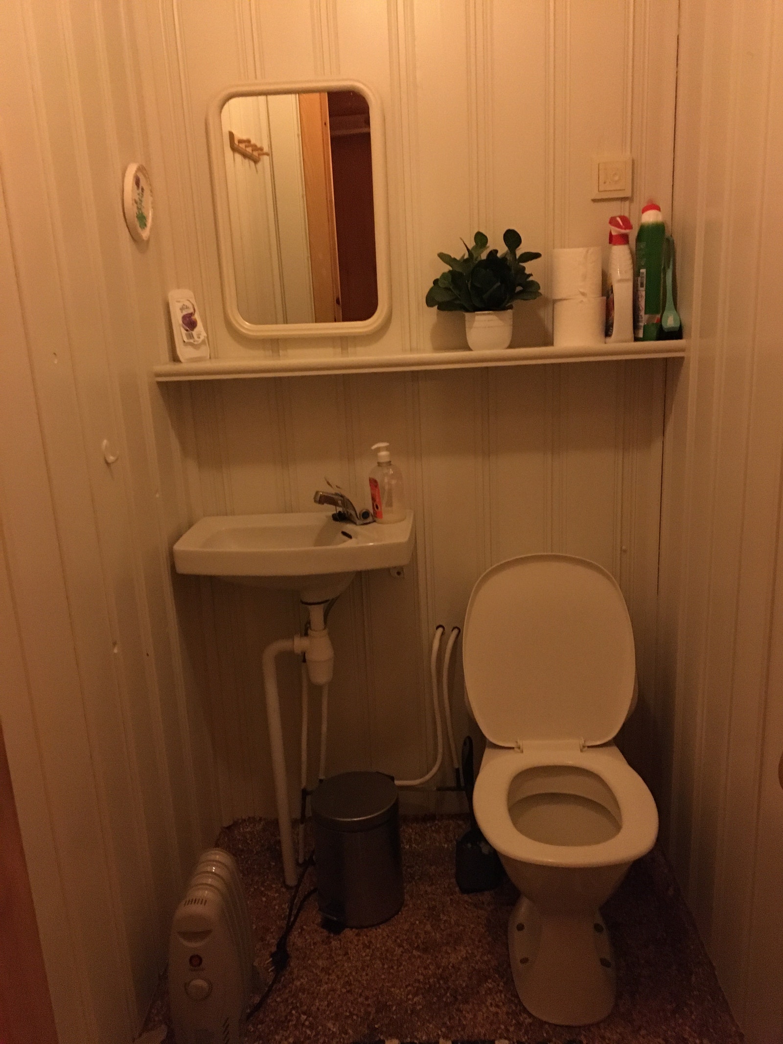 Toalett Galleribilde