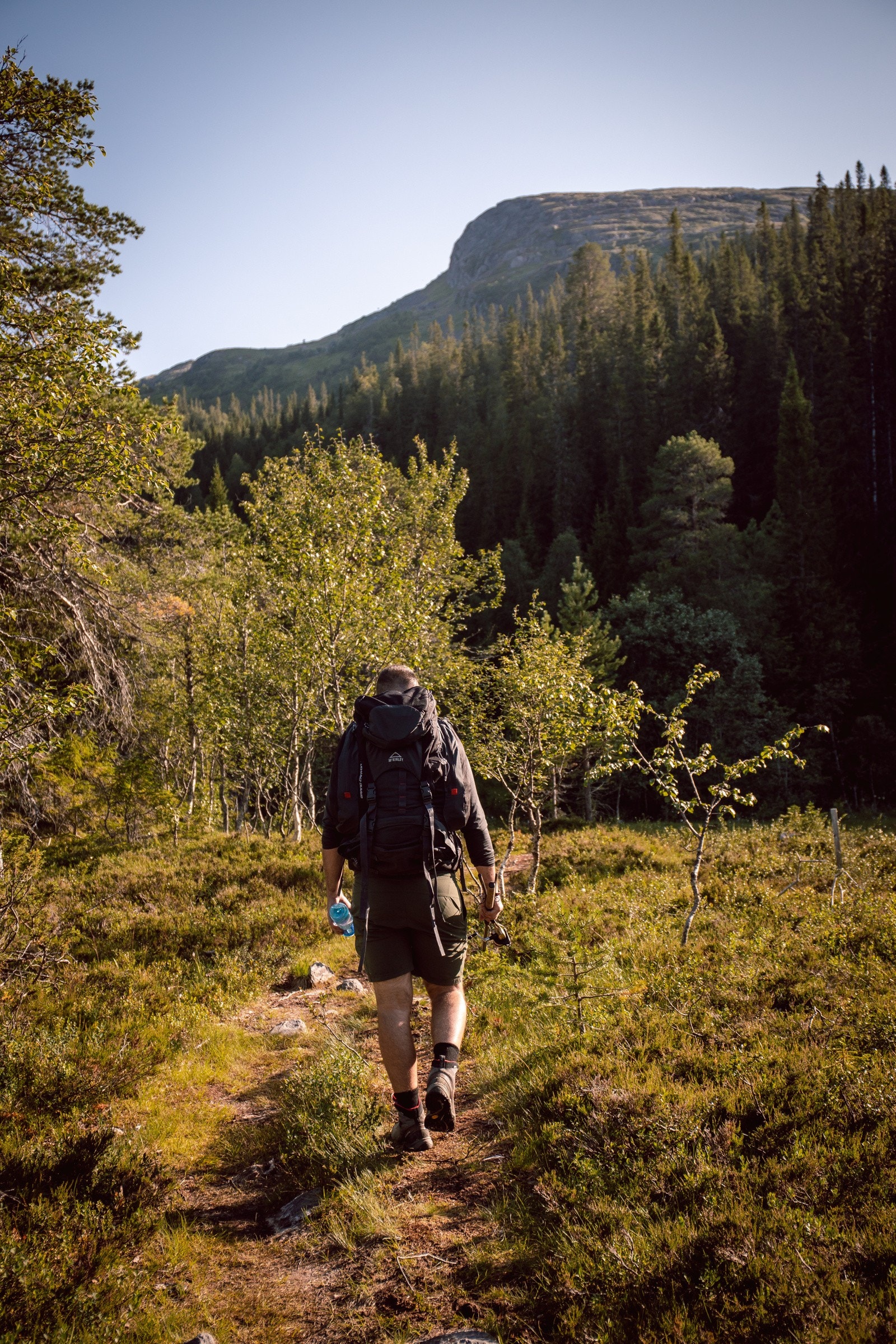 Med sitt karakteristiske preg, stikker Steinfjellet godt frem i terrenget. Galleribilde
