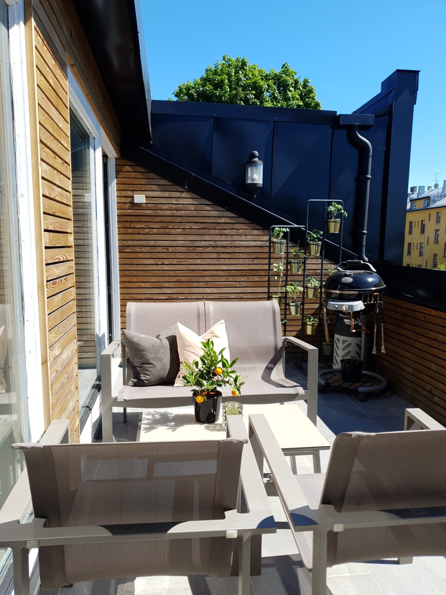 Takterrasse Galleribilde