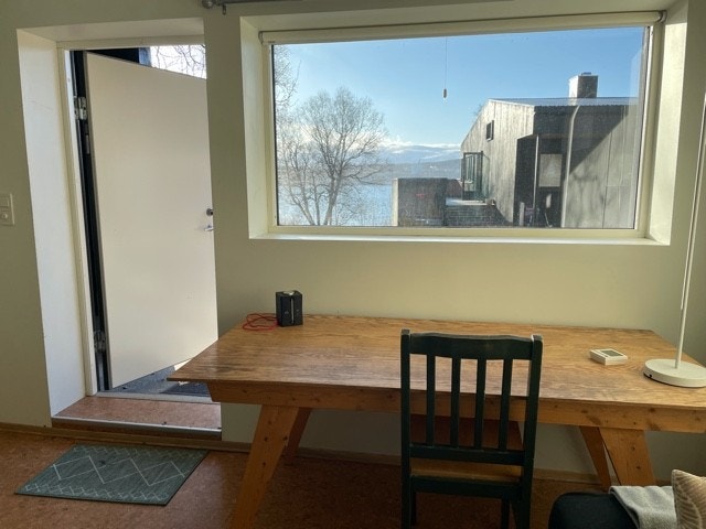 utsikt mot vest Galleribilde