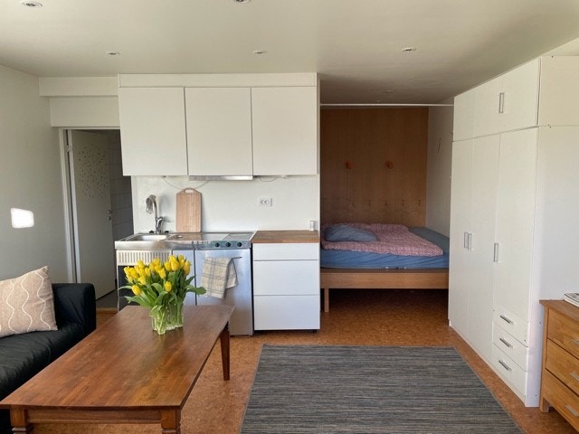 minikjøkken og sovealkove Galleribilde