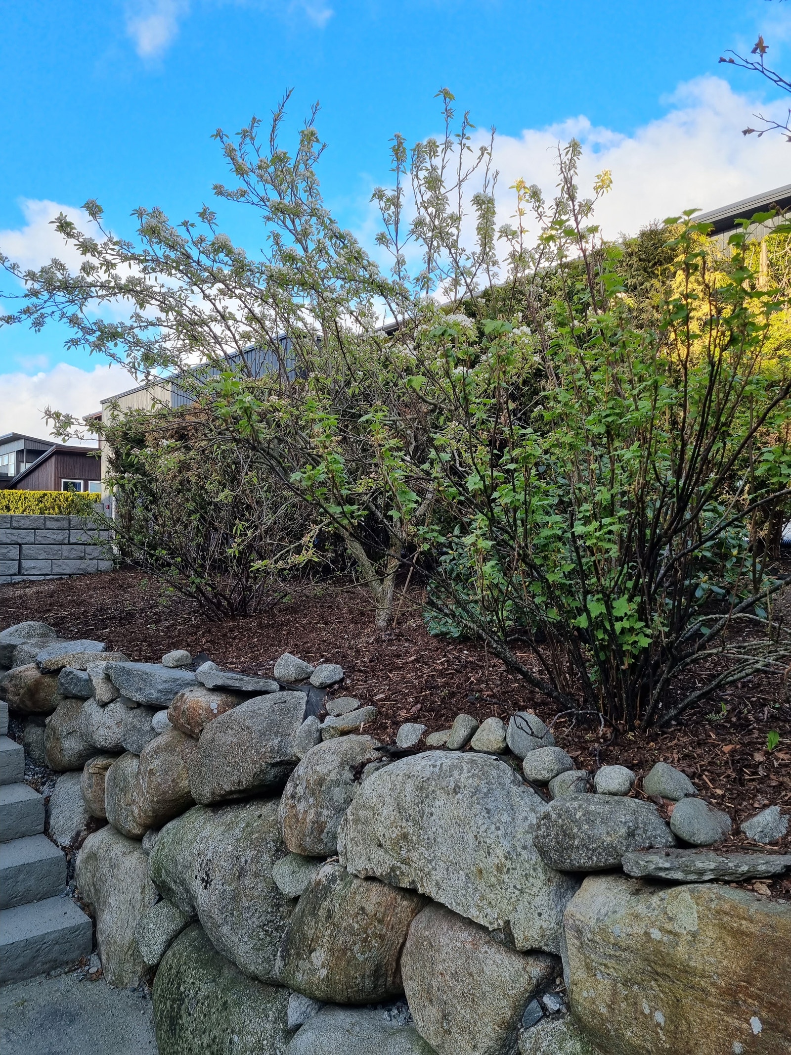 Hage/uteområde. Galleribilde