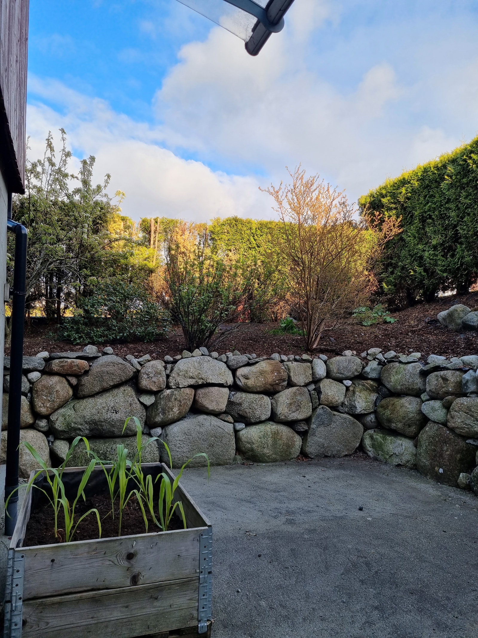 Hage/uteområde. Galleribilde