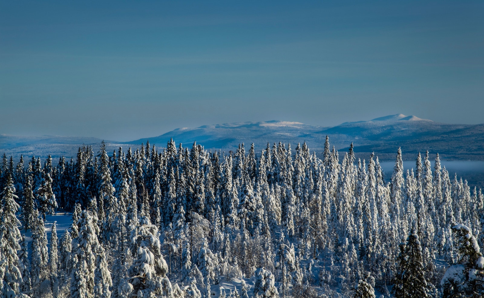 Utsikt til Trysilfjellet fra Birkenåsen. Galleribilde