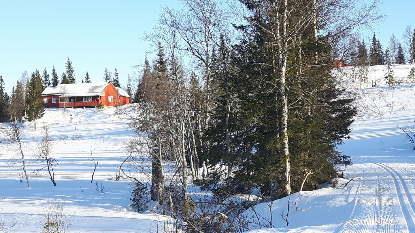 Rett ved hyttefeltet finnes skihytta Hersjøhytta. Denne er åpen søndager på vinteren og serverer nystekte vafler, kaffe, brus og annet godt! Galleribilde
