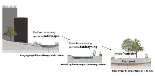 Område Galleribilde