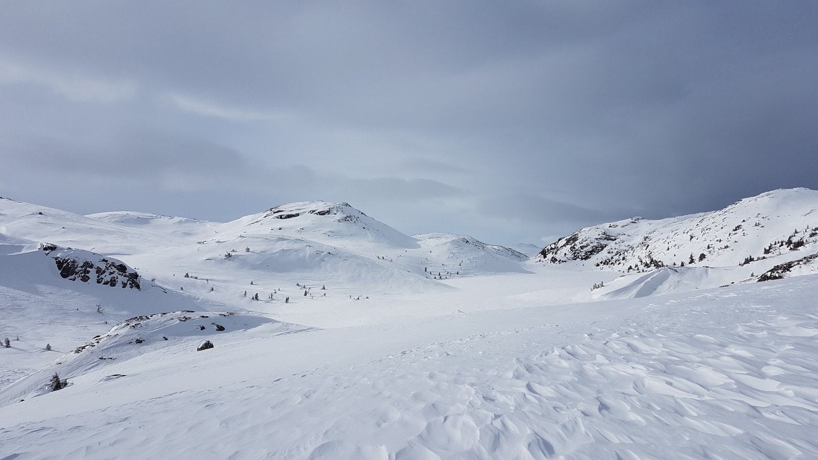 Områdetbilde - Tiurleiken Galleribilde