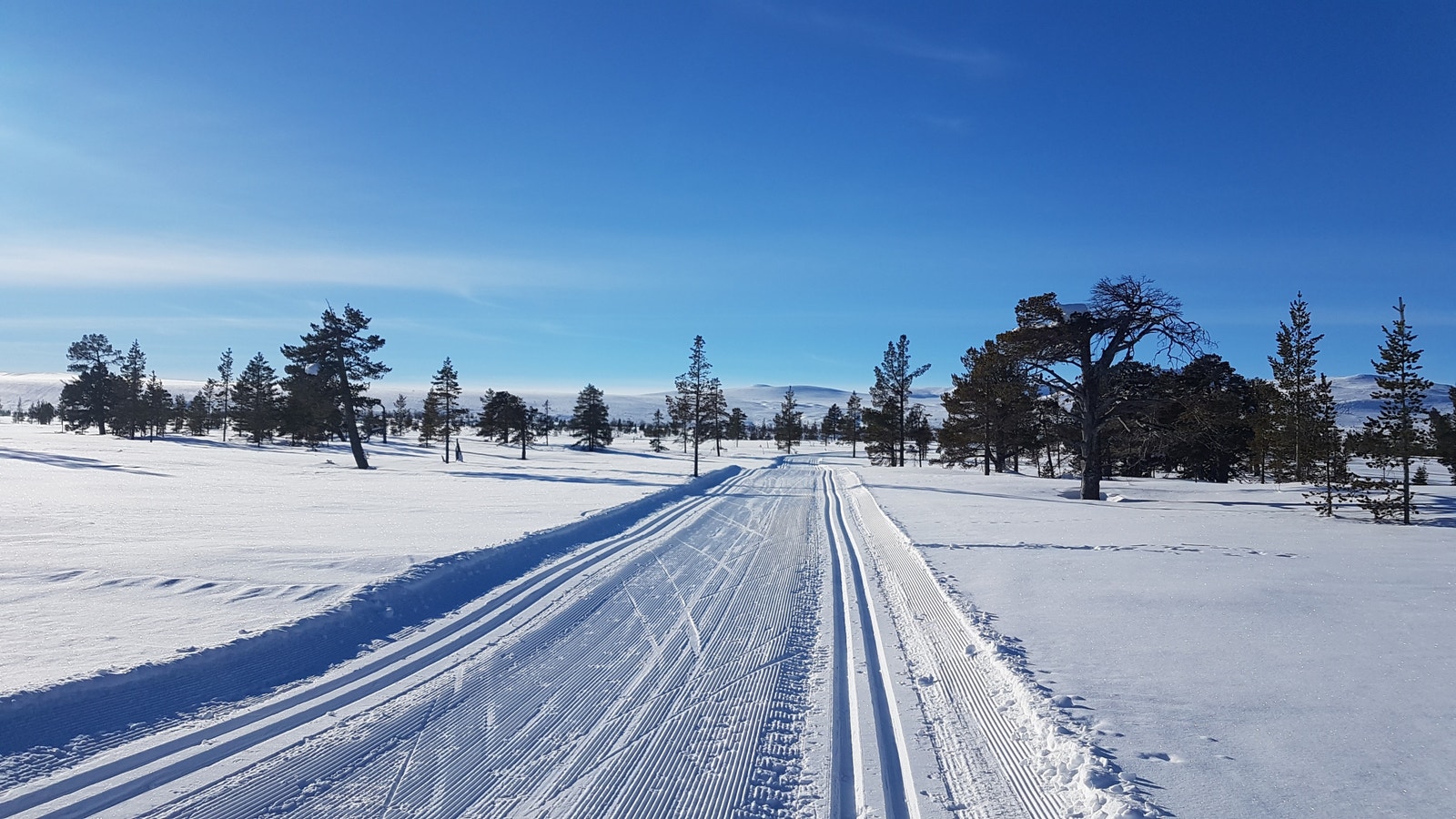 Områdetbilde - Tiurleiken Galleribilde