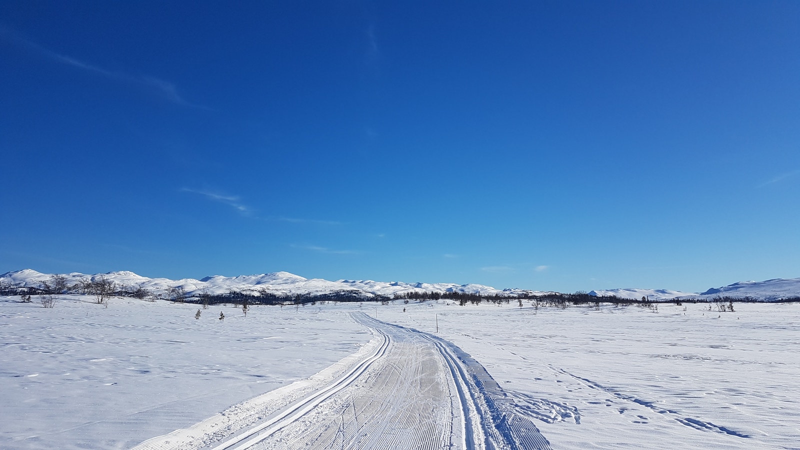 Områdetbilde - Tiurleiken Galleribilde