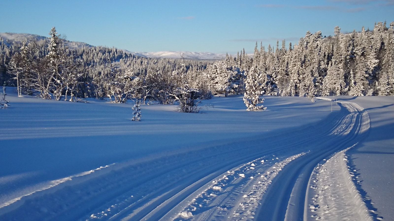 Områdetbilde - Tiurleiken Galleribilde