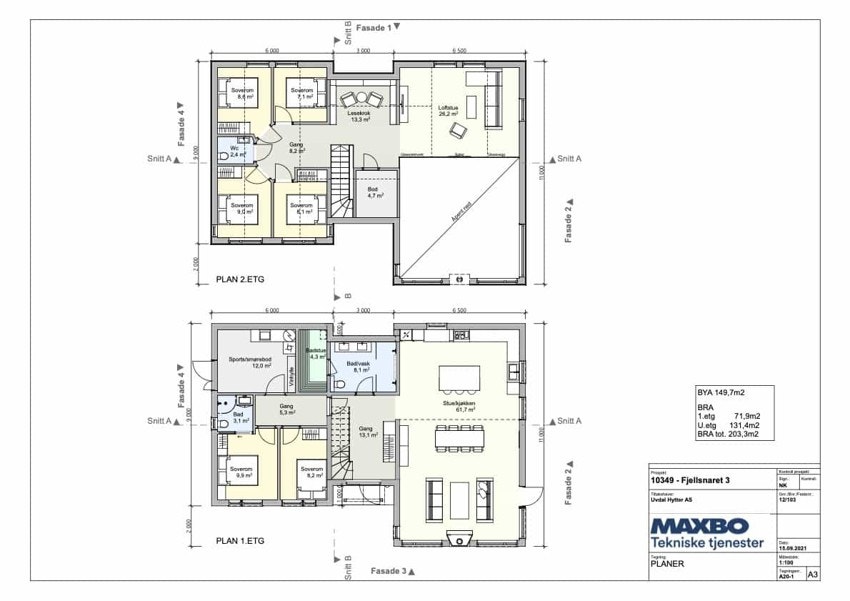 Fjellsnaret Eksklusiv Galleribilde