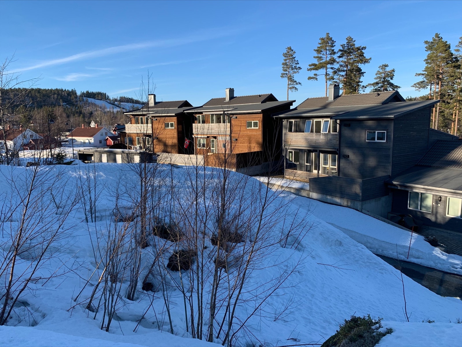 På tomten, mot nord (Hovet 1 og 2) Galleribilde