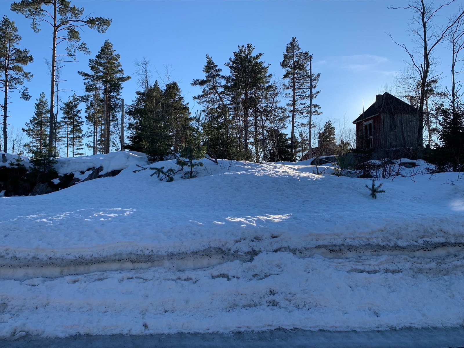 Mot området Galleribilde