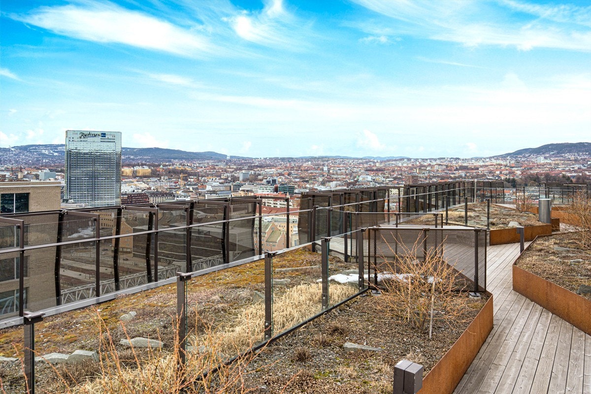 Felles takterrasse Galleribilde