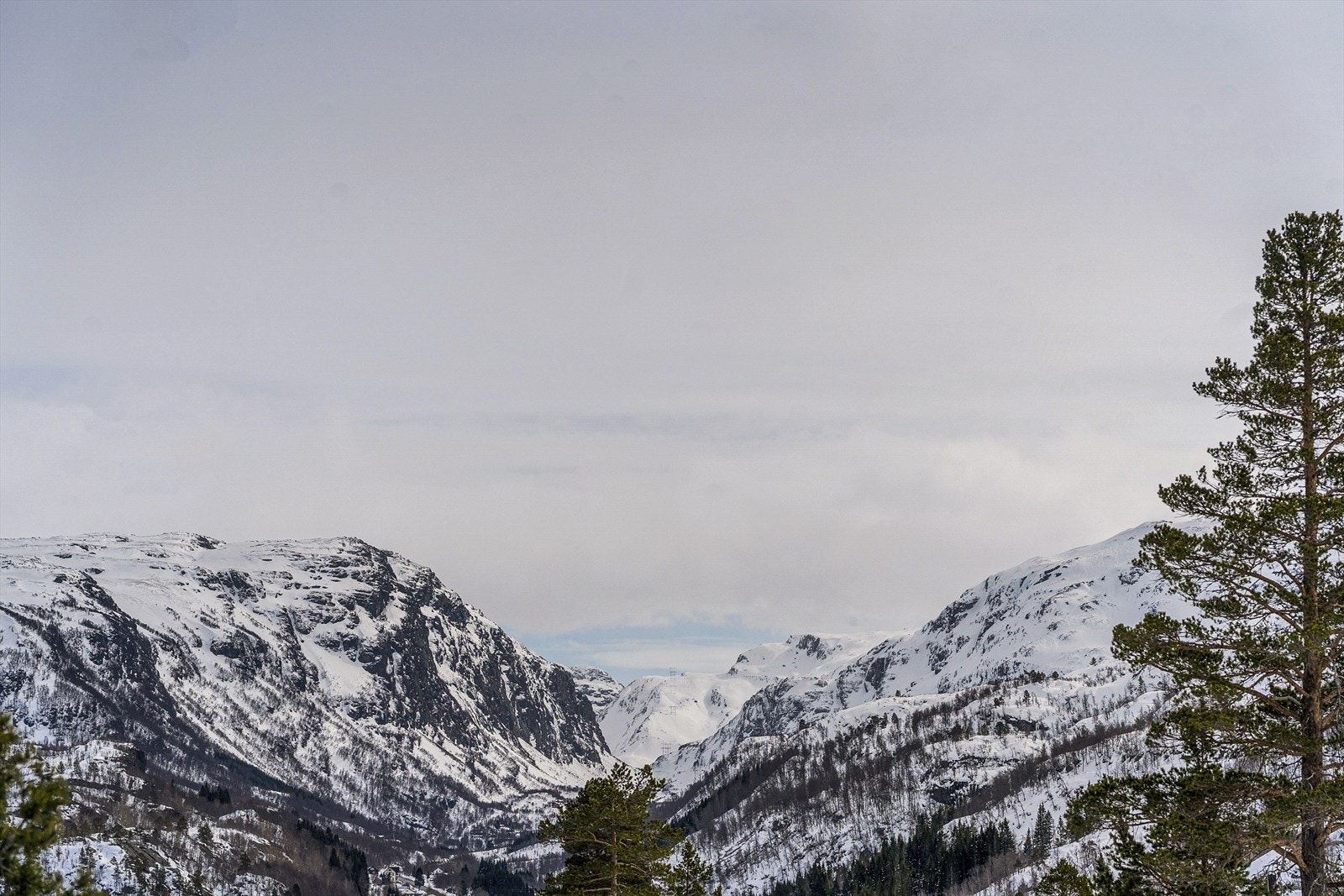 Velkommen til visning! Husk påmelding! Galleribilde