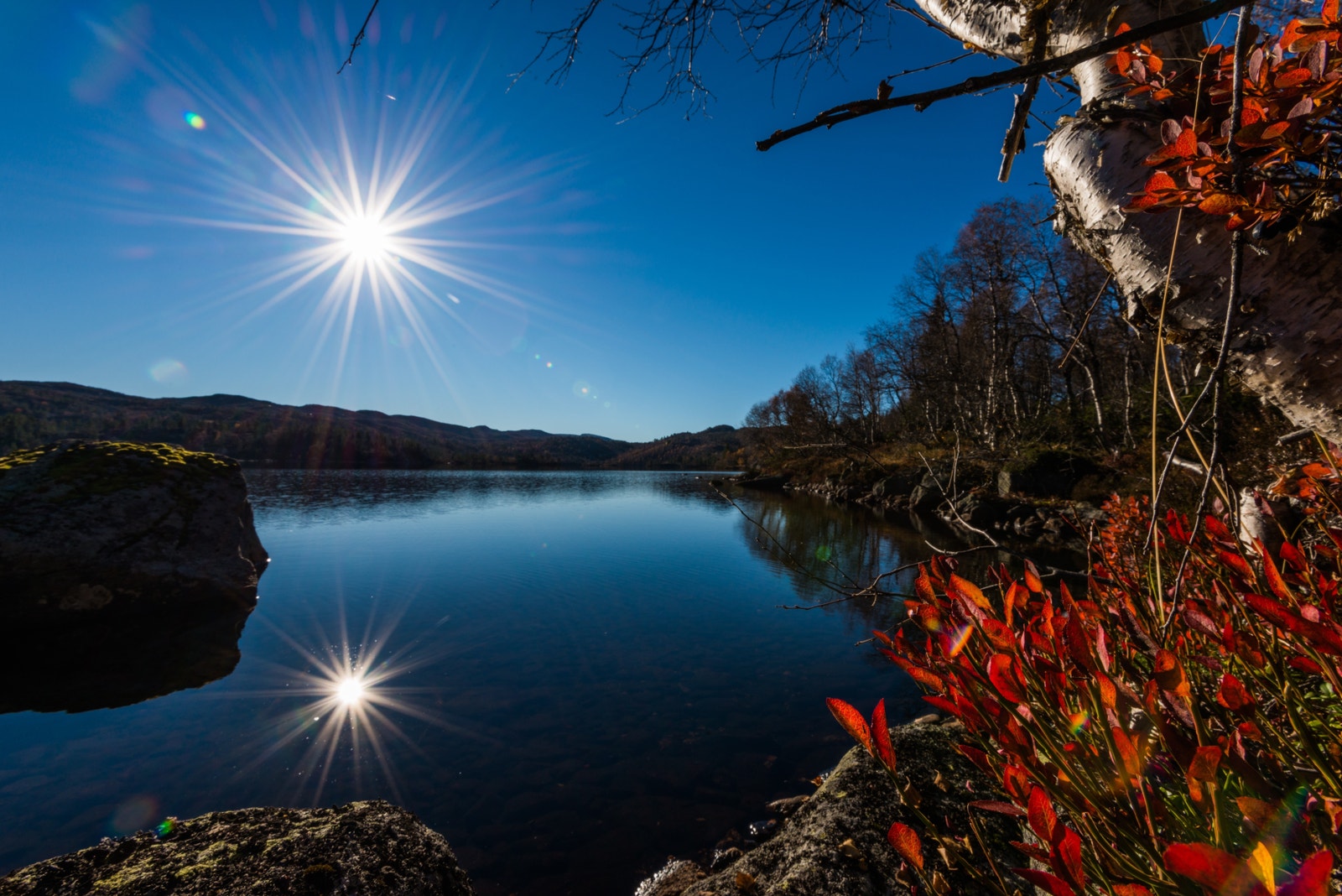 Haust i Brokke Galleribilde