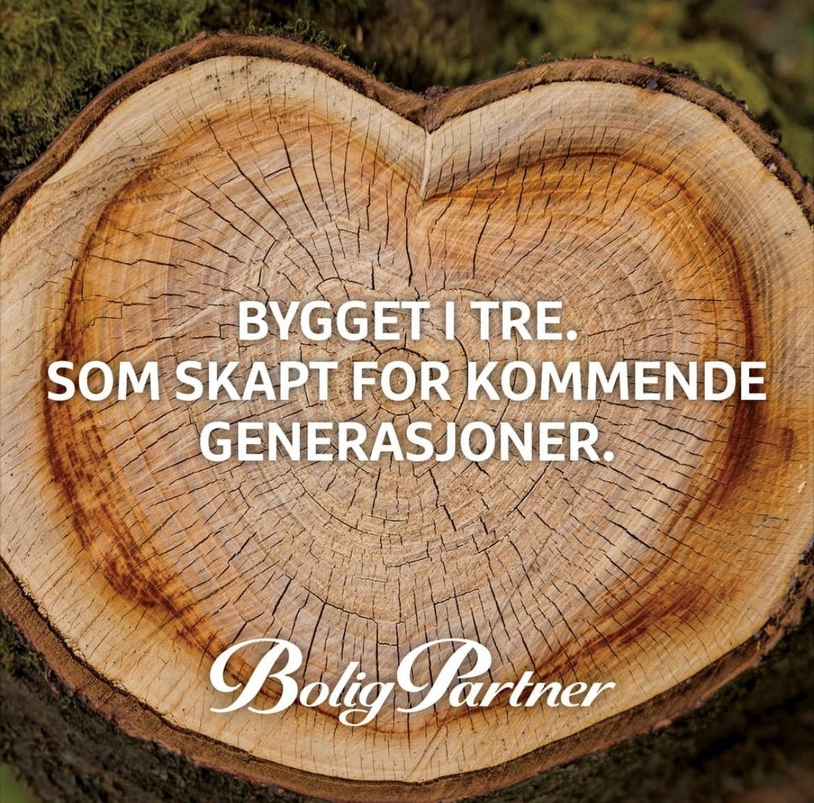 Bygget i tre - som skapt for alle. Galleribilde